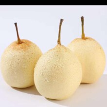 河北泊头鸭梨带箱4斤单果200g起