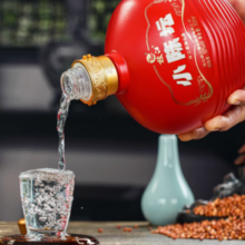 枝江 小陈坛 50%vol 浓香型白酒 500ML*2瓶 礼盒装