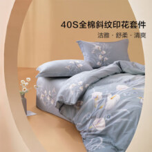 百丽丝床上四件套纯棉100%全棉四件套床品被套床单套件1.5m床
