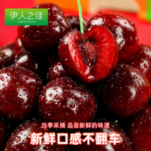 智利进口车厘子 礼盒装 3J 2斤