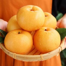 京东百亿补贴:晟容果蔬山东秋月梨礼盒 精选净重4.5-5斤【单果200g+】