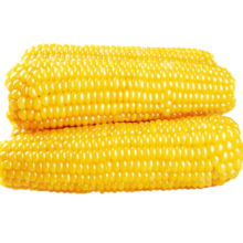珍谷诱惑 24年新玉米 东北鲜食甜糯玉米棒180g*8