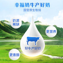 西江 4.1蛋白水牛纯奶整箱儿童学生营养早餐奶纯牛奶