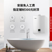 林内（Rinnai）【国家补贴立减15%】【小蛮腰】16升燃气热水器 13升天然气GD31/GD32/GD33 智慧恒温 升级CPU 13L 【小蛮腰GD31】多数人选择｜经典恒温
