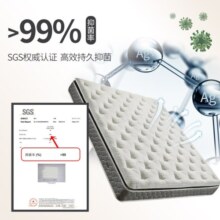 雅兰（AIRLAND）床垫天然乳胶豪华垫层银离子抑菌面布双人弹簧床垫 卓跃总统版2.0 抗菌乳胶床垫 1.8*2m