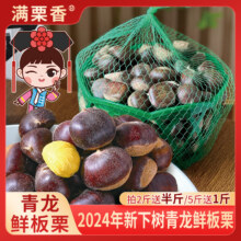 出口品质，满栗香 新鲜青龙板栗 6斤