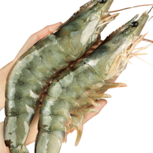 基围虾 特大青虾 冷冻鲜对虾 10-12cm 1450g