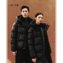 9日20点：YEATION 网易严选 中国大鹅 焱95白鹅绒 轻奢羽绒服 颜色任选