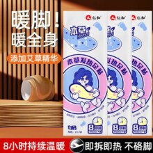 仁和 艾草发热鞋垫 10片