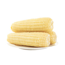 笨恰恰 新鲜白糯玉米棒 260g*8支装