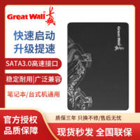 Great Wall 长城 T30固态硬盘240/480G台式机笔记本电脑高速SSD固态盘Sata3.0