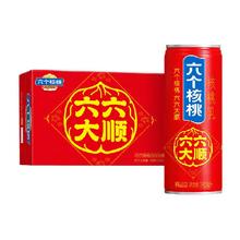 养元 六个核桃，48/20罐，240ml/罐，赠手提袋