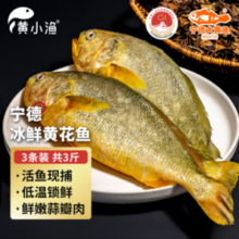 BAP认证 黄小渔 冰鲜宁德黄花鱼 3斤/3条