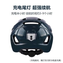 大行（DAHON） 折叠自行车配件p8骑行头盔山地车电动车头盔K3装备男女四季通用 钛青色XL
