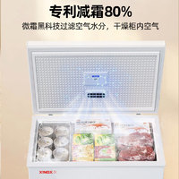 星星 XINGX 200升小型冰柜家用 冷藏冷冻转换冷柜 商用大容量减霜