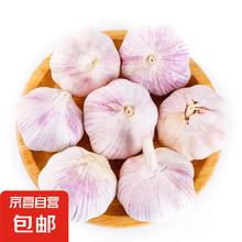 加 紫白皮蒜精品大蒜特价批发商用调味料蒜瓣 [活动]10头 200g 单果3.5-5cm