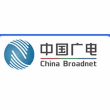 京东百亿补贴：中国广电 流量上网卡大王卡