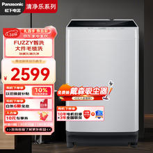 松下 Panasonic 波轮洗衣机全自动清净乐号 桶自洁免清洗 线纸屑 除螨洗超快洗 10公斤XQB100-QYACN