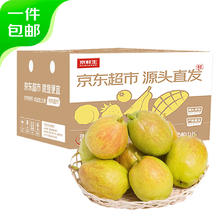 京鲜生 Mr.Seafood 新疆库尔勒香梨 净重4斤 单果80g-100g 新鲜水果 源头直发