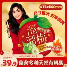 溜溜梅 喜上眉梢大礼包 青梅全家桶 610g