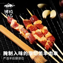游牧御品 【烧烤季】内蒙古羊肉串5斤/5袋戈壁滩羊肉散养烧烤食材烤肉烤串 蒙古羊肉串540g/袋