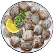 鲜京采 鲜活大美贝  5斤 每斤15-20粒 新鲜蛤蜊花甲