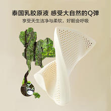 百丽丝 天然乳胶抗菌防螨枕 40cm×60cm