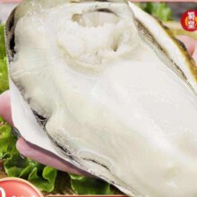 plus会员:蜀皇乳山生蚝鲜活特大牡蛎海蛎子10斤净重5XL(16-20)只源头直发包 邮