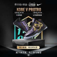 NIKE 耐克 KOBE V PROTRO 男款篮球鞋 IB4481-500