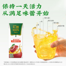 汇源年货果汁礼盒 100%果汁（下单3件最划算） 苹果汁 200ml*12盒（礼盒装）