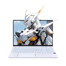 限地区、plus:机械革命 耀世15Pro14代酷睿ix游戏笔记本电脑（i7-14650HX 32G 1T RTX4060 240HZ 2.5K白）