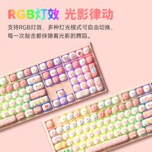 Akko x Monsgeek MG108B猪猪派对三模机械键盘RGB MOG办公108键