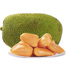 鲜福林越南红心黄肉菠萝蜜 精选8-9斤（香味浓郁 出果率高）