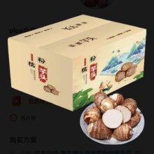 再降价、plus会员: 京觅山东牛奶小芋头 净重4.5斤 中果30g-60g