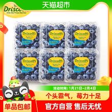 Driscoll's 秘鲁怡颗莓蓝莓新鲜水果