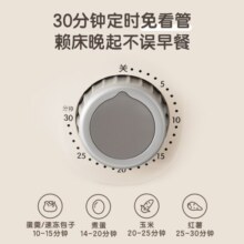 小熊（Bear） 煮蛋器迷你多功能煮鸡蛋小型电蒸锅早餐蒸鸡蛋羹双层大容量蒸蛋器 ZDQ-C14L3 双层 不锈钢蒸片 定时30分钟