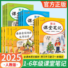 2025课堂笔记 语文课堂笔记+看拼音写词 2年级下册