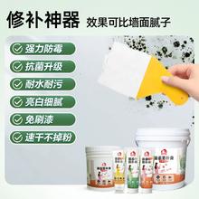ORIENTAL YUHONG 东方雨虹 雨虹防水墙面修补膏 1kg