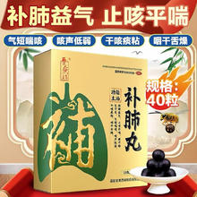 88VIP会员：养无极 补肺丸 40丸×1盒 补肺益气
