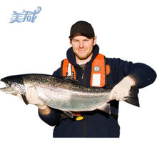 美威 Marine Harvest 智利原味三文鱼整条 4kg 礼盒装+海南野生搬九节虾 4件