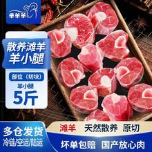 百亿补贴：芈羊羊 散养滩羊羊小腿羊腱子带骨羊肉5斤散养清真冷冻火锅食材