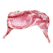 鲁禧海岸  内蒙羔羊羊肉 10斤礼盒  半只精修乳羔羊