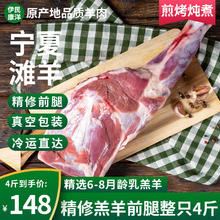 伊民康洋 宁夏滩羊肉 生鲜整半只羊 原切羊排羊腿羊蝎子烧烤火锅食材礼盒清 滩羊前腿切块4斤