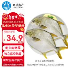 UNIVERSAL 环球水产 冷冻南海金鲳鱼2斤/2条 年货节 生鲜鱼类 火锅 深海鱼 海鲜水产