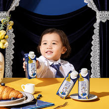认养一头牛 A2β酪蛋白纯牛奶250mL*20盒