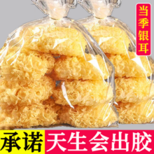 古田直发大朵银耳精选白木耳干货孕妇小糯耳雪耳滋补养生食材出胶