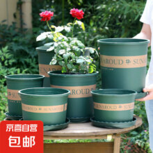 加仑花盆(口径10cm)