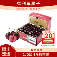 智利进口车厘子 5斤原箱装 新鲜水果樱桃年货礼盒 5斤(净重) 2JD（原箱装）