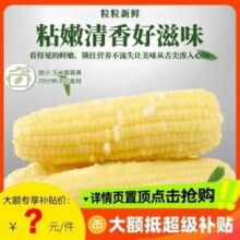 淘宝买菜农场直发 东北白糯玉米 250g~300g*10根
