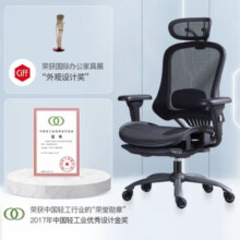 网易严选多功能人体工学椅转椅 电脑椅办公椅老板椅电竞椅开拓者2.0升级款 【标准款】黑色无搁脚(杆控)